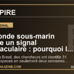 Le monde sous-marin envoie un signal spectaculaire : pourquoi la decouverte de 31 nouvelles especes au large du Bresil fascine deja la planete