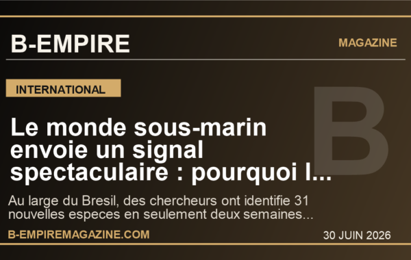 Le monde sous-marin envoie un signal spectaculaire : pourquoi la decouverte de 31 nouvelles especes au large du Bresil fascine deja la planete