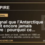 Le signal que l'Antarctique n'avait encore jamais envoye : pourquoi ce fossile de dinosaure retrouve dans un tiroir fascine deja le monde