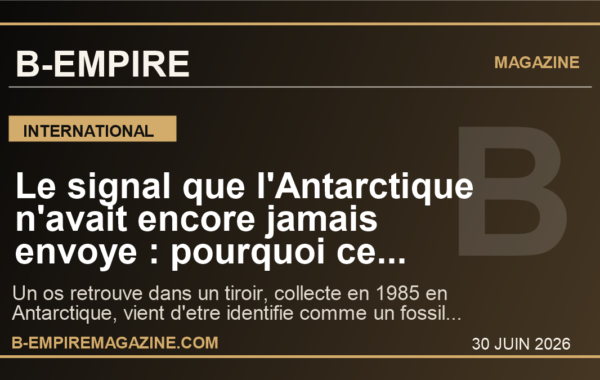 Le signal que l’Antarctique n’avait encore jamais envoye : pourquoi ce fossile de dinosaure retrouve dans un tiroir fascine deja le monde