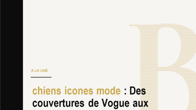 chiens icones mode : Des couvertures de Vogue aux campagnes de luxe, les chiens deviennent