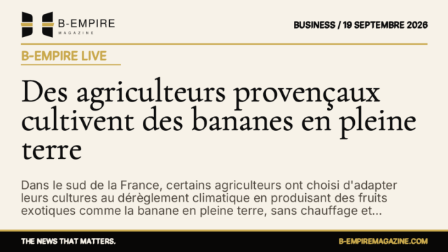 Des agriculteurs provençaux cultivent des bananes en pleine terre — B-Empire Live