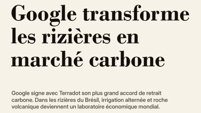 Google transforme les rizières en marché carbone
