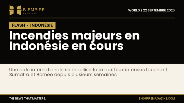 Fumée dense s'élevant au-dessus des forêts en feu en Indonésie, avec un ciel sombre et des arbres partiellement visibles