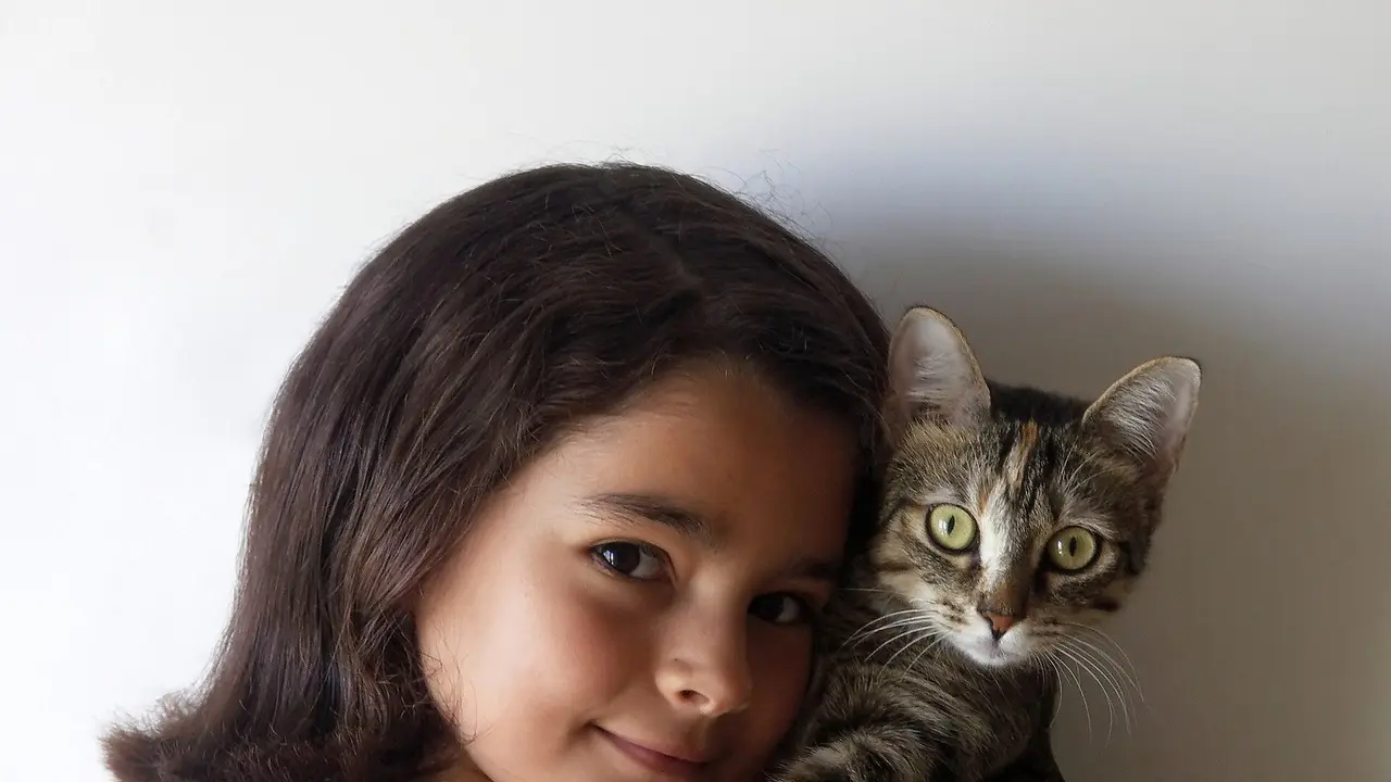 Journée internationale du chat 2026 : le phénomène mondial qui transforme nos foyers