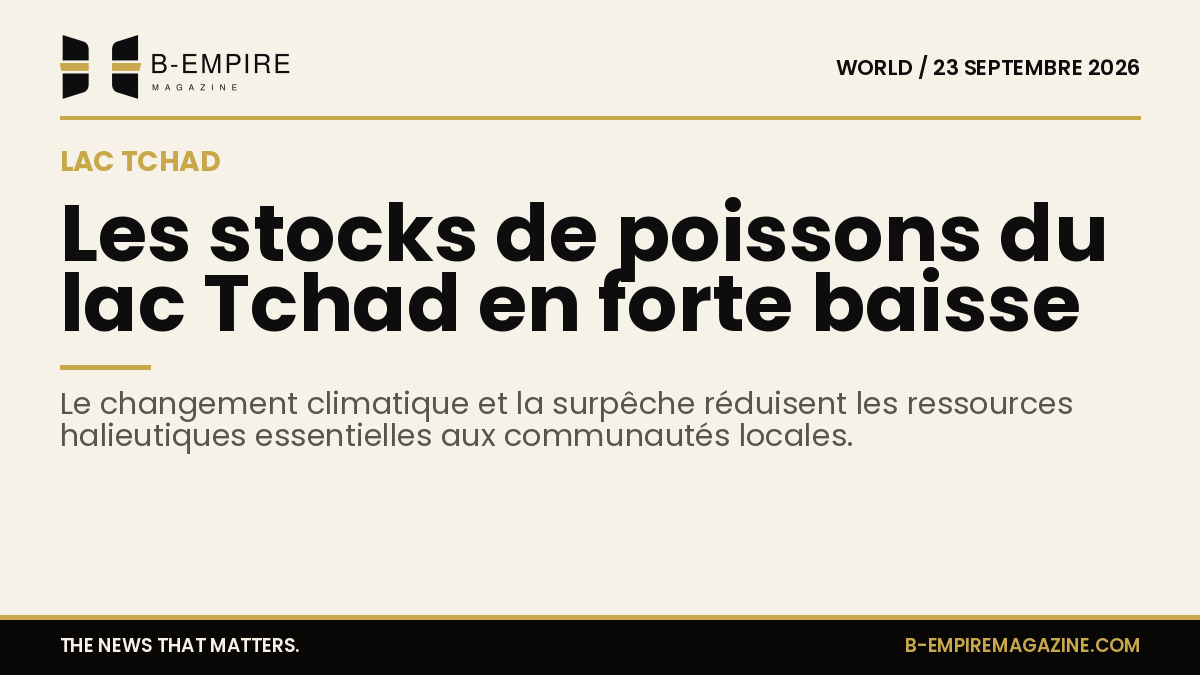 Vue aérienne du lac Tchad montrant la surface d'eau avec des zones de végétation autour