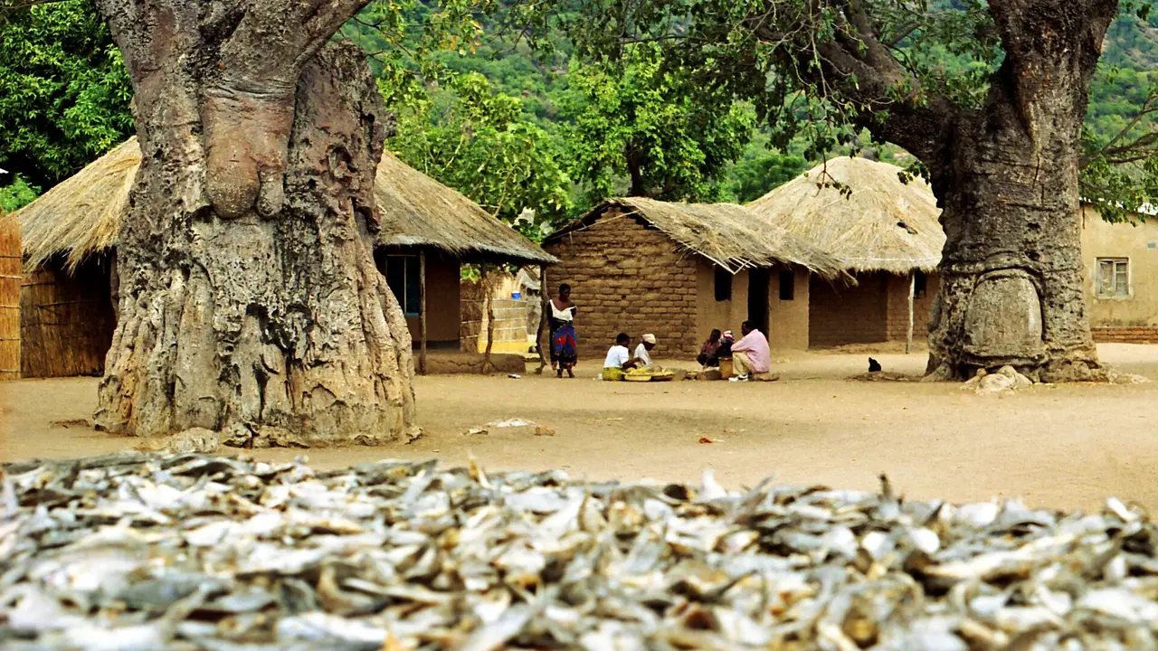 Malawi : le débutant qui renverse la CAN féminine et se rapproche du Mondial