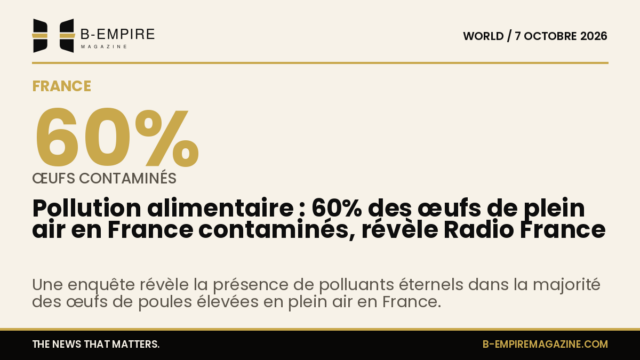 Illustration d'œufs de poules élevées en plein air sur un fond papier avec un chiffre 60% en évidence