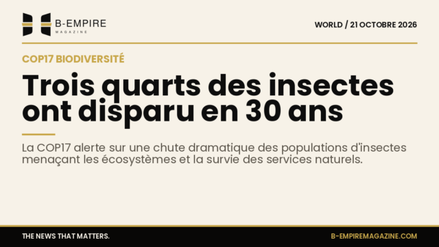 Graphique stylisé montrant un déclin marqué des populations d'insectes avec un chiffre 75% en surimpression sur un fond papier couleur crème.