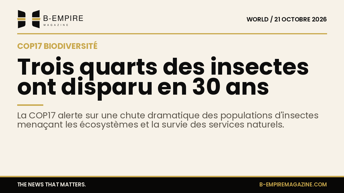 Graphique stylisé montrant un déclin marqué des populations d'insectes avec un chiffre 75% en surimpression sur un fond papier couleur crème.