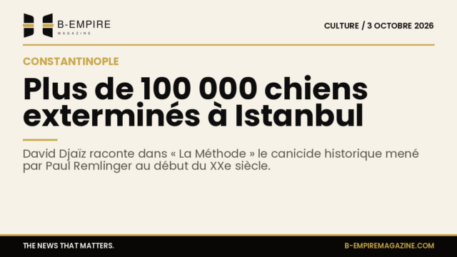 Illustration d'un chien errant dans une ruelle de Constantinople au début du XXe siècle