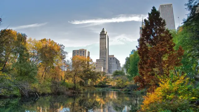 Les calèches de Central Park bannies de New York après 20 ans de débats