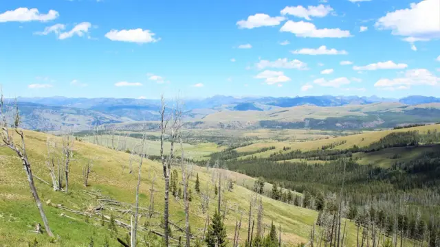 Wyoming, bastion républicain, divisé avant les élections de mi-mandat